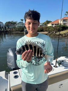Sheepshead fish caught while fishing in Port Orange FL