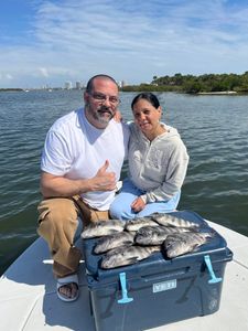 Fresh caught sheepshead fish displayed on cooler from fishing trip in Port Orange FL