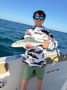 Spanish mackerel catch on fishing boat in Port Orange FL