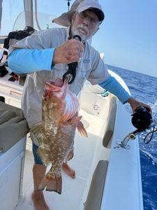 Red grouper caught while fishing in Port Orange FL displayed on boat deck