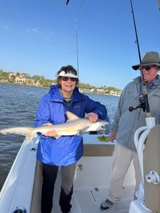 Sandbar shark catch on fishing boat in Port Orange FL waters
