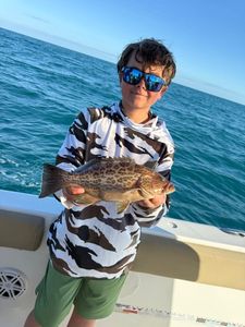Scamp grouper catch displayed on fishing boat in Port Orange Florida waters