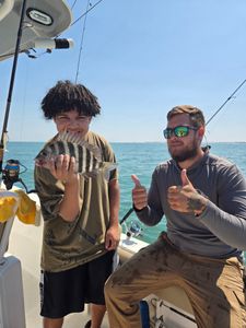 Sheepshead fish caught while fishing in Port Orange FL
