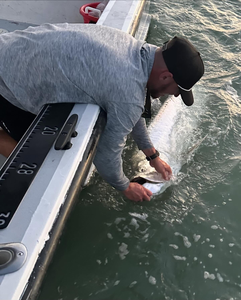 Scenic view of the FL coastline while fishing
