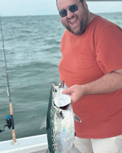 Little Tunny fishing in FL