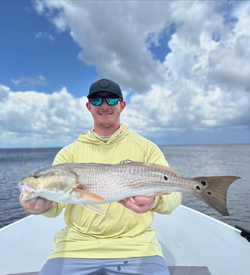 Redfish measuring 31 inches caught fishing in FL