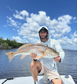 Redfish caught at Fort Myers Beach
