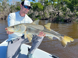 Snook fish caught by angler at Fort Myers Beach