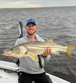 Snook, a 34-inch fish, caught while fishing in FL