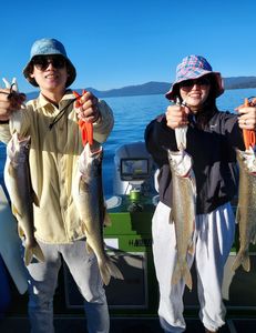 Pyramid Lake Fishing Pros at Work, Lake Trout