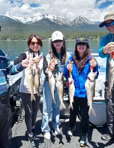 7 lake trout caught in Tahoe Vista