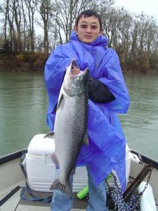 Bluefish, 27-inch catch in CA