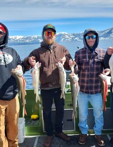 5 bull trout fish caught in Tahoe Vista