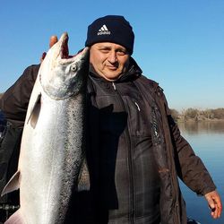 Chinook Salmon caught fishing in CA