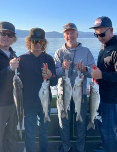 5 chub mackerel fish caught during fishing in CA