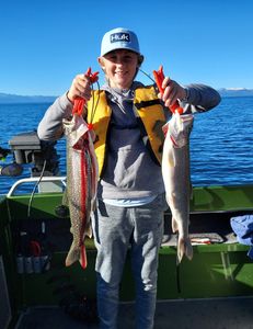 Two large fish caught in California by a fisherman