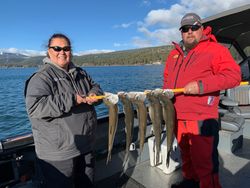 Four big fish caught in Tahoe Vista