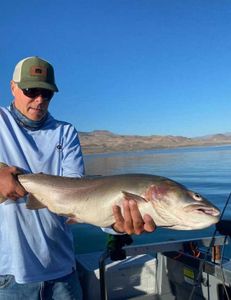 Fishing in Tahoe Vista with a 24-inch fish