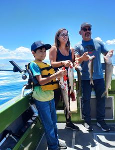 Four big fish caught in Tahoe Vista during fishing trip