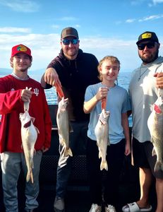 Four anglers with a catch of 4 large rainbow trout and lake trout at Tahoe Vista