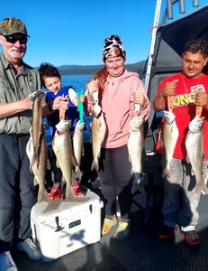 7 lake trout and rainbow trout caught in fishing trip in CA