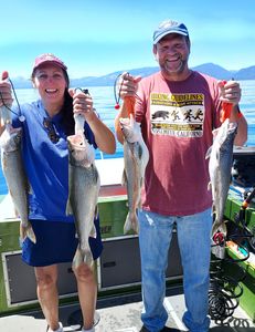 4 lake trout caught in CA