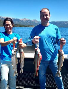 4 lake trout caught while fishing at Tahoe Vista