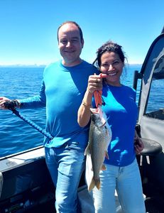 A lake trout fish caught in CA