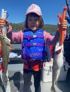 Two rainbow trout caught while fishing in CA