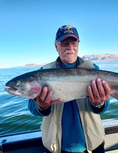 A single rainbow trout caught in Tahoe Vista