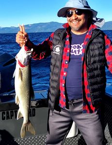 A single person fishing in CA