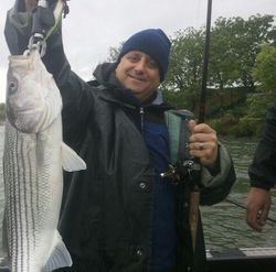 Striped bass caught on fishing trip in CA