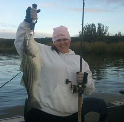 Striped bass caught in CA