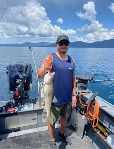 A single person fishing in Tahoe Vista