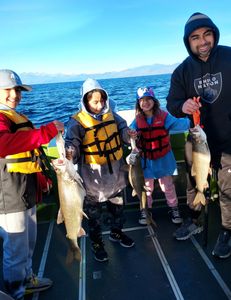 Three big fish caught in Tahoe Vista