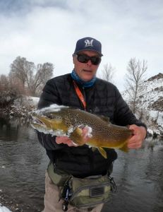 Photograph of a sea trout caught in Tahoe Vista