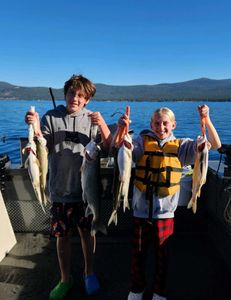 Three large lake trout caught while fishing in CA