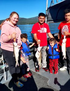 Three rainbow trout caught in California