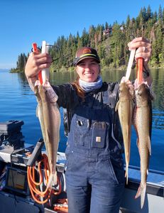 Two rainbow trout, 24 inches long, caught in CA