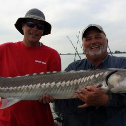 White Sturgeon, 26 inches, caught in CA