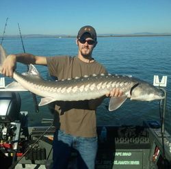 White Sturgeon, 42 inches, fishing in Tahoe Vista