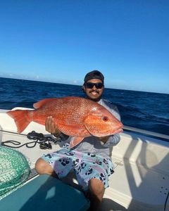 Red Snapper Fishing in New Smyrna Beach