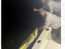 Walleye Fishing in New Smyrna Beach