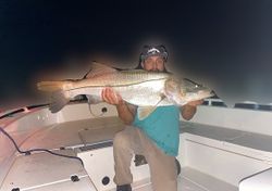 Tarpon Fishing in New Smyrna Beach