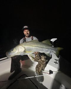 A Snook fish caught while fishing at New Smyrna Beach