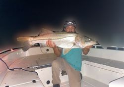 Snook fish caught while fishing in FL