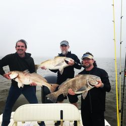 3 black drum and redfish caught during fishing trip in Apalachicola