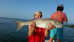 Scenic view of fishing in Florida