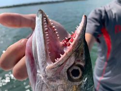 Fishing in FL