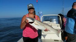 Redfish caught in FL